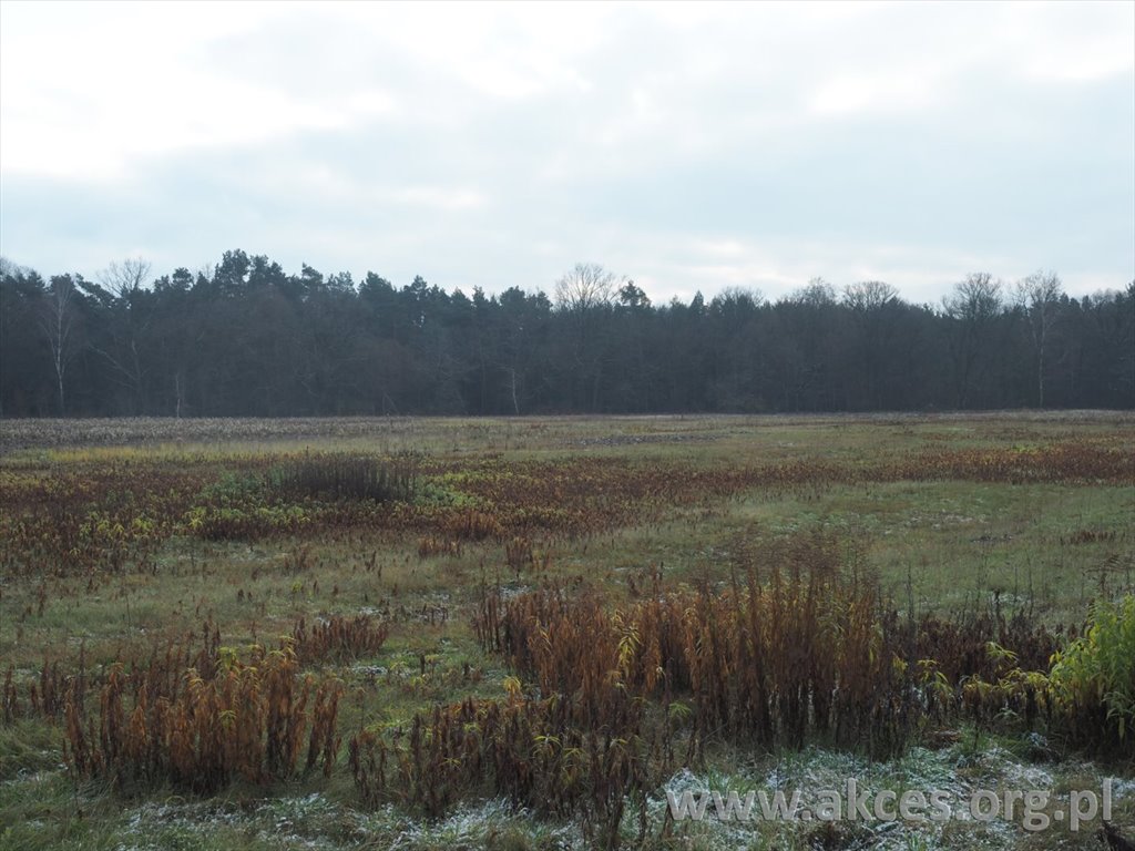 Działka 13 200 m² z warunkami zabudowy w Emowie - polecam! Emów  13 200m2 Foto 1