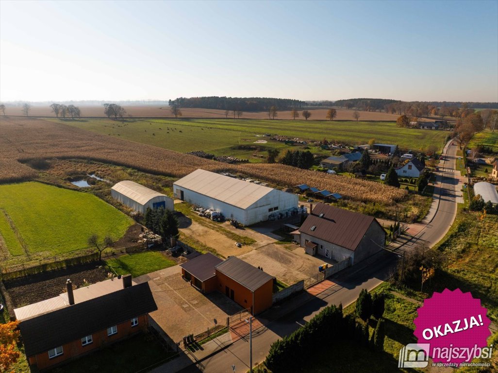 Hale produkcyjno-magazynowe z budynkiem mieszkalno-usługowym (1150 m²): Bienice