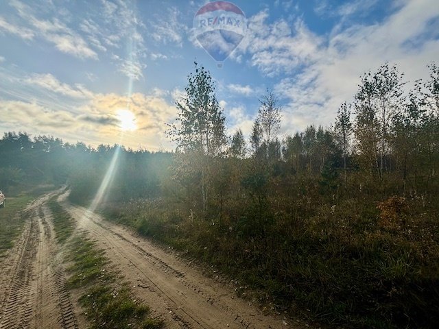 Działka budowlana na sprzedaż Czapielsk, Lubczykowa  1 007m2 Foto 5