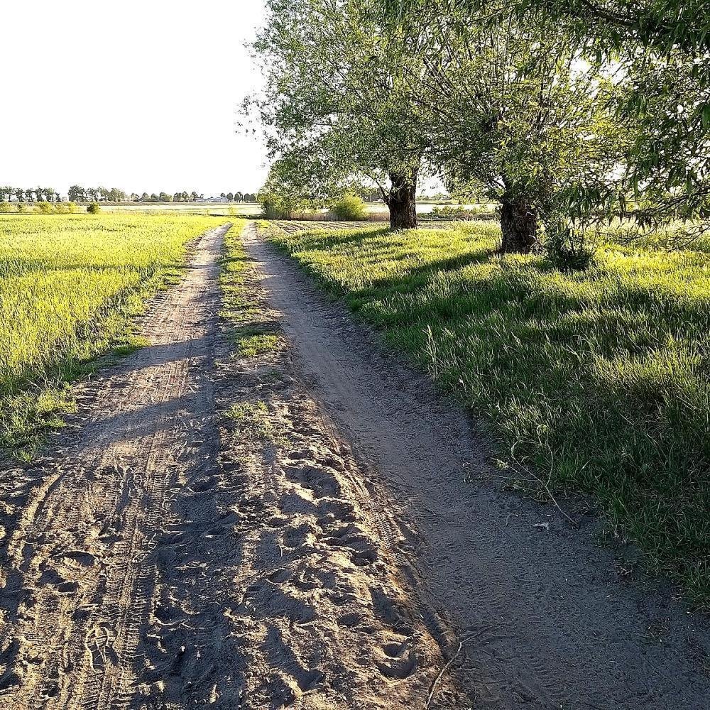 Działka inna na sprzedaż Buk, Otusz  784m2 Foto 5