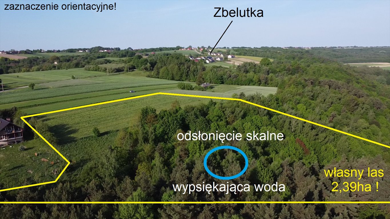 Działka siedliskowa na sprzedaż Melonek  41 400m2 Foto 4