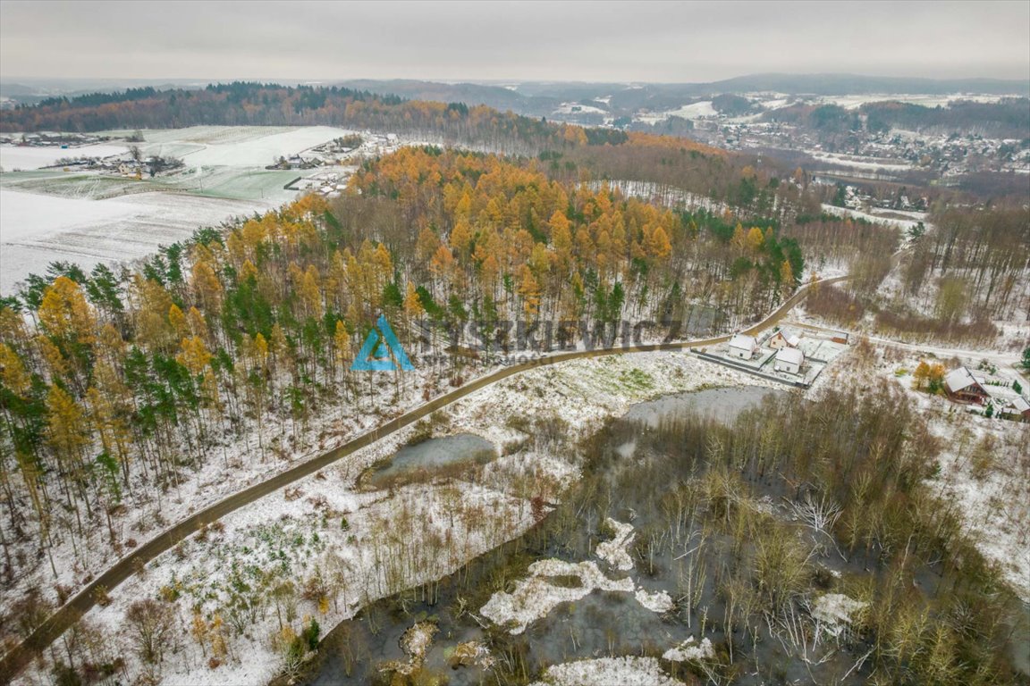 Działka budowlana na sprzedaż Pierszczewo  10 569m2 Foto 8