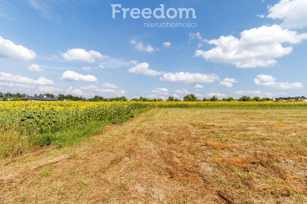 Działka budowlana na sprzedaż Pawęzów  3 344m2 Foto 4