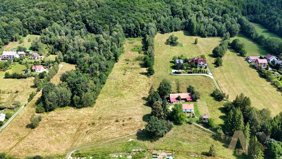 Działka budowlana na sprzedaż Maciejowa  1 000m2 Foto 3