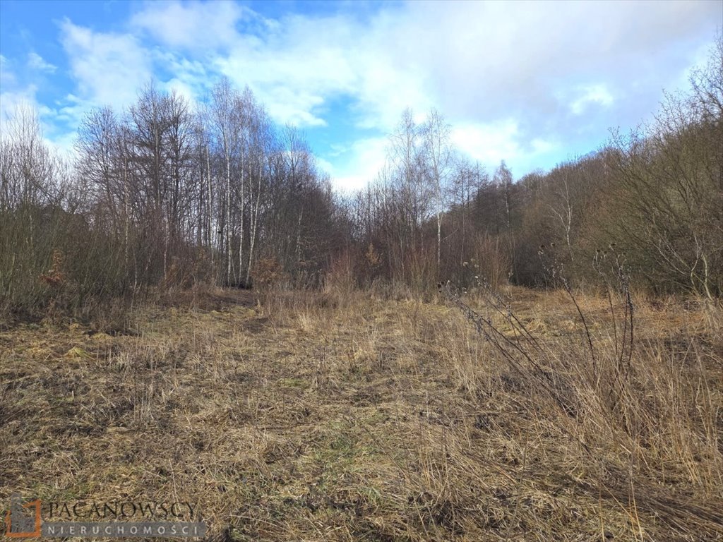 Działka 31,13 ara z MPZP, media przy działce, cicha okolica Szczodrkowice  3 113m2 Foto 1