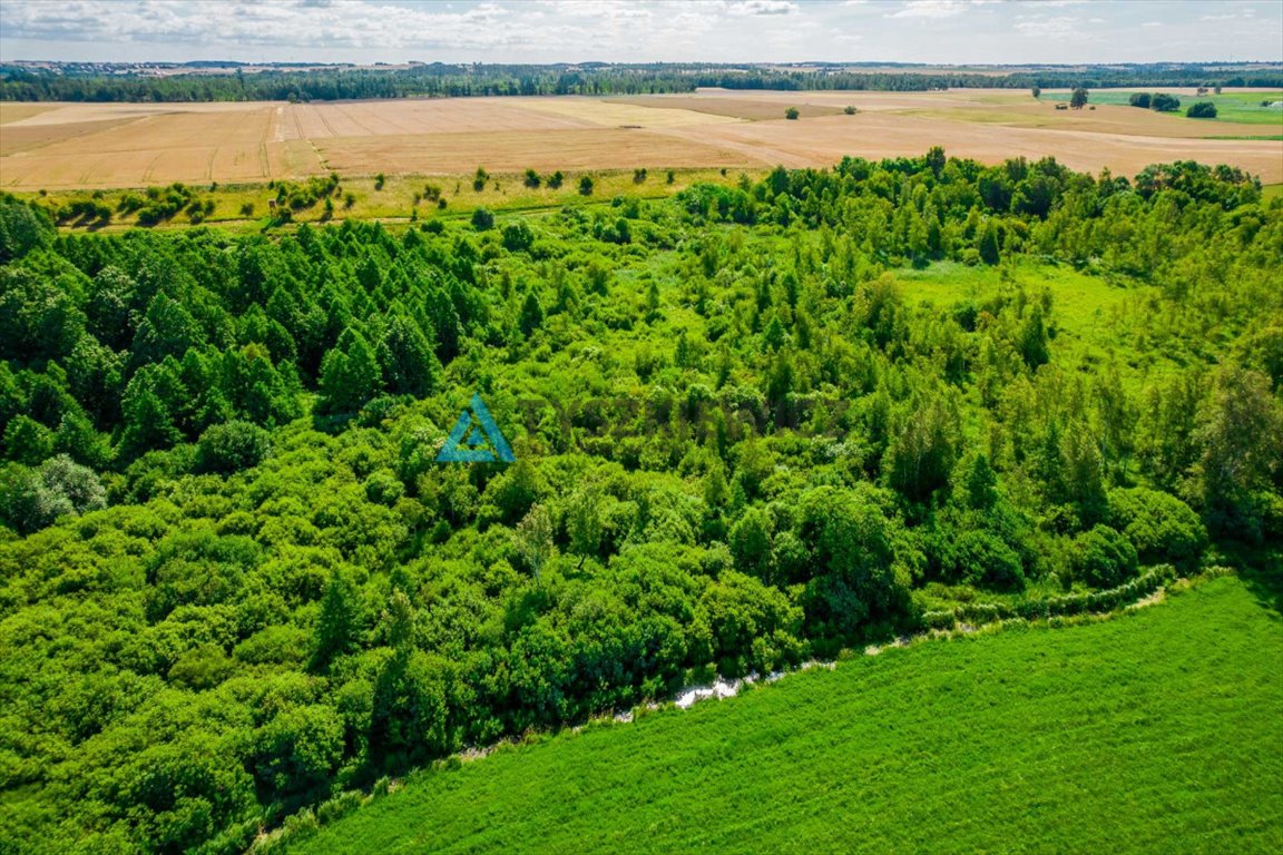Działka rolna na sprzedaż Ciechocin  6 400m2 Foto 7