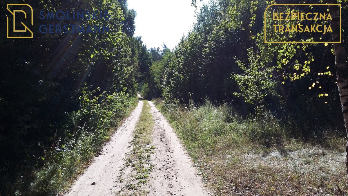 Działka rekreacyjna na sprzedaż Bożepole Królewskie  1 500m2 Foto 9