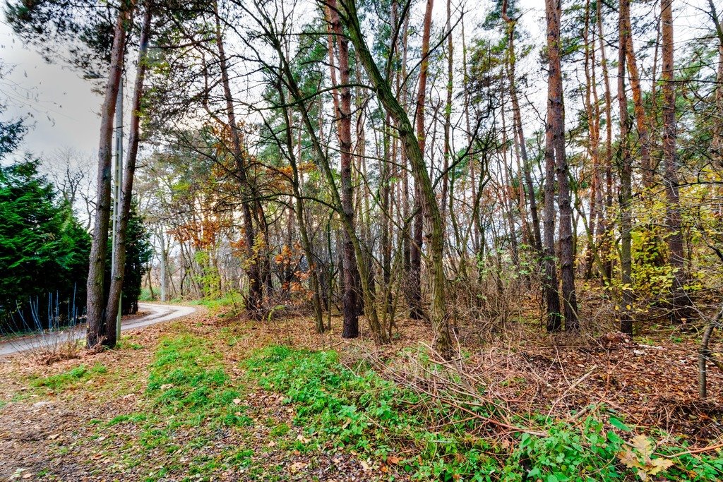 Działka budowlana na sprzedaż Czosnów, Warszawska  2 066m2 Foto 15