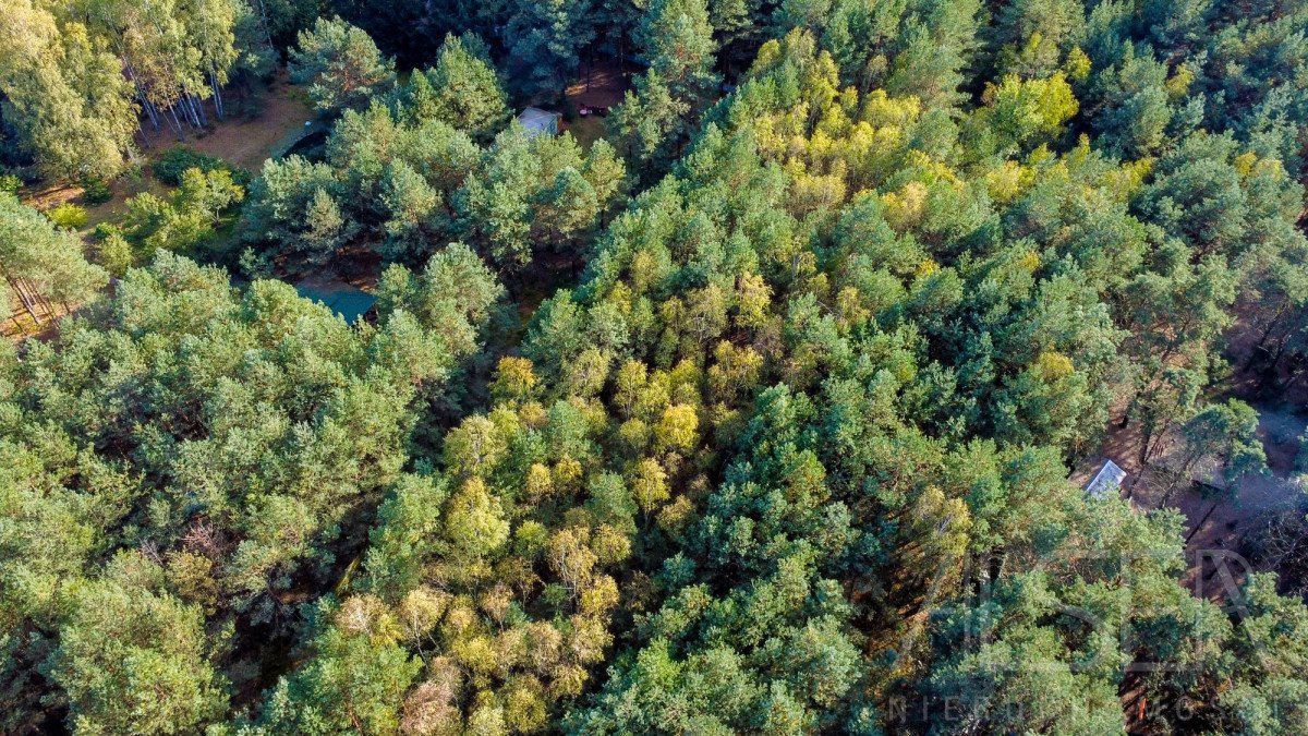 Działka budowlana na sprzedaż Basinów  972m2 Foto 3