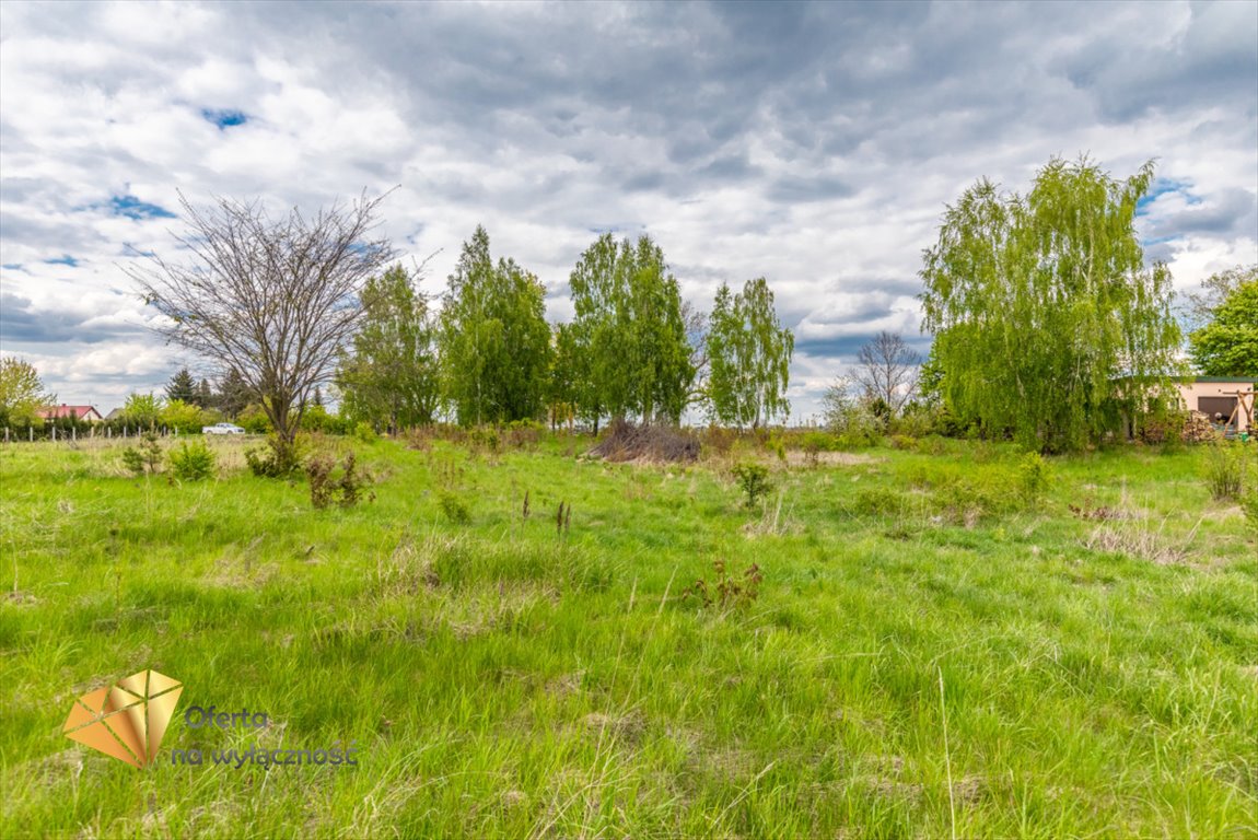 Działka rolna na sprzedaż Kamień  1 420m2 Foto 6