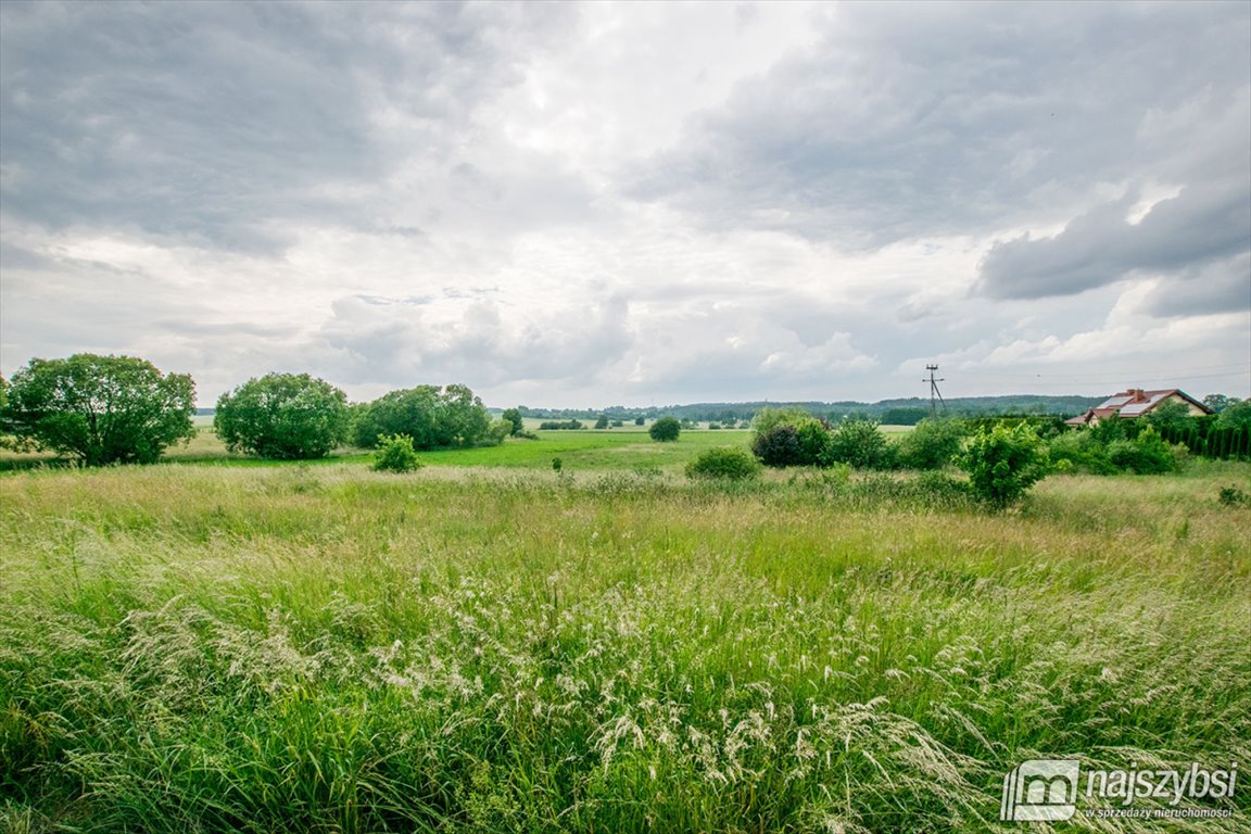 Działka rolna na sprzedaż Barwice, miasto  3 004m2 Foto 11