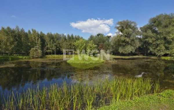 Działka inwestycyjna na sprzedaż Wrocław, Fabryczna, Jarnołtowska 28 143m2 Foto 1 Działka inwestycyjna na sprzedaż Wrocław, Fabryczna, Jarnołtowska 28 143m2 Foto 1