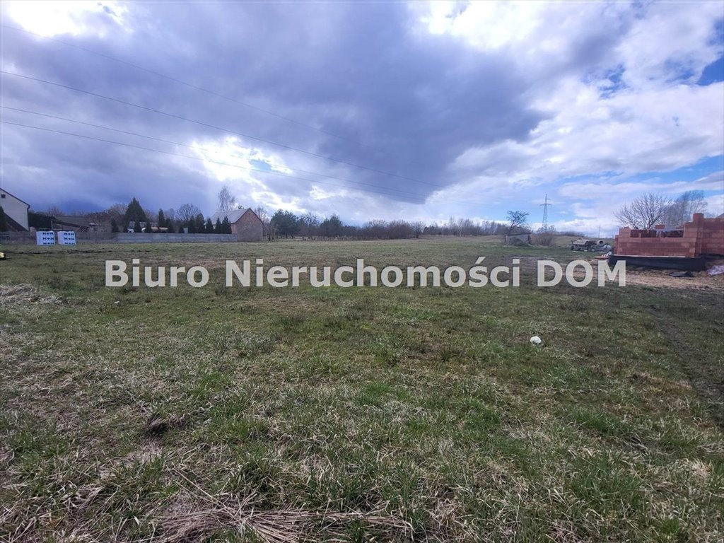 Zdjęcie 6