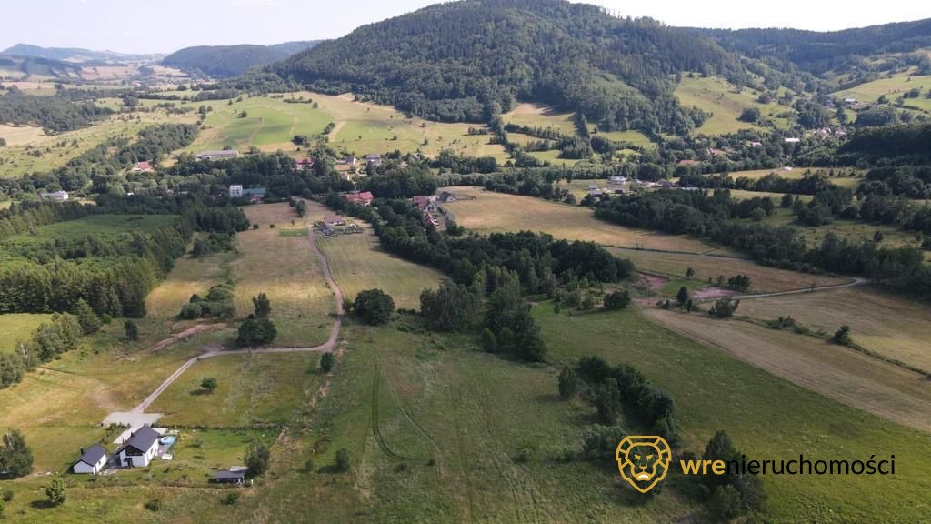 Działka budowlana na sprzedaż Łomnica  9 500m2 Foto 1