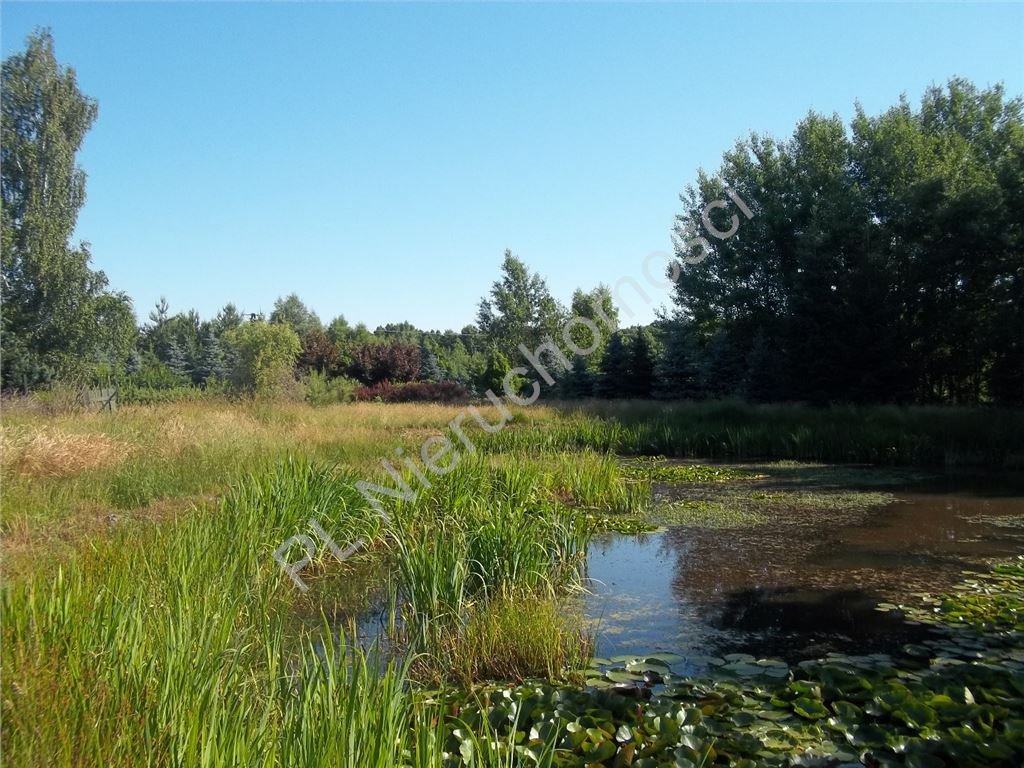Działka budowlana z stawem, media, las, dojazd utwardzony Żelechów  2 055m2 Foto 1