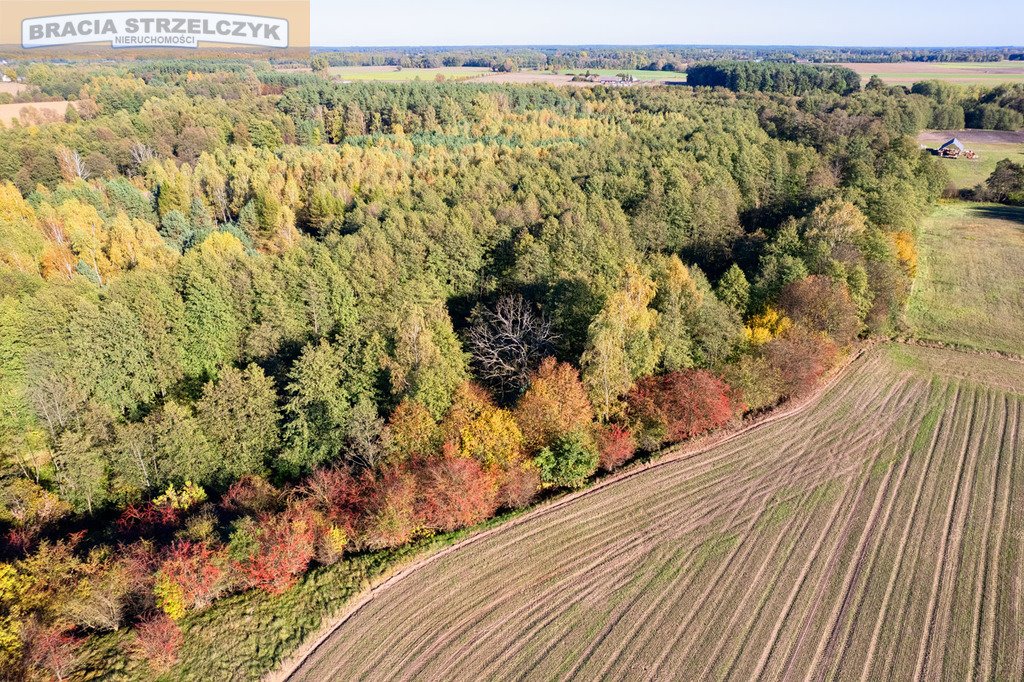 Działka budowlana na sprzedaż Gutarzewo  45 500m2 Foto 10