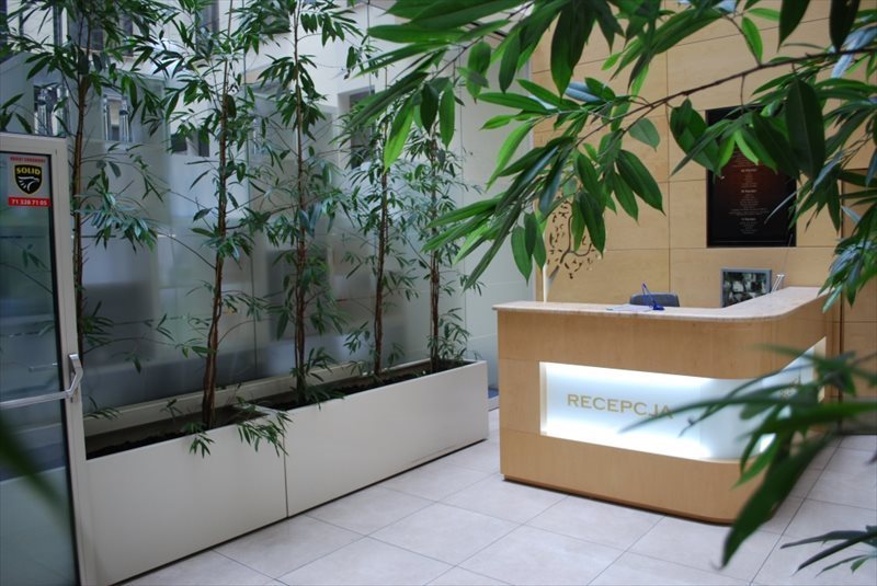 Klimatyzowany lokal biurowy 62 m2 przy Rynku we Wrocławiu Wrocław, Stare Miasto, Rynek  62m2 Foto 1