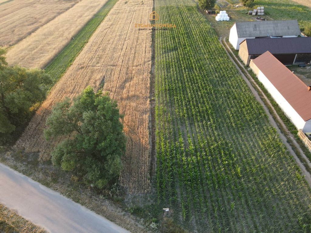 Działka inna na sprzedaż Rusinów, Wola Gałecka  29 800m2 Foto 7