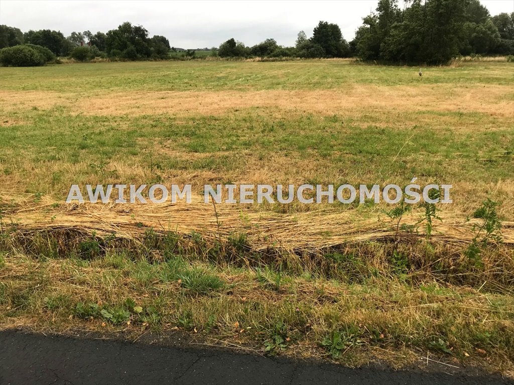 Do sprzedania działka 3100 m² z mediami i warunkami zabudowy Baranów, Kopiska  3 100m2 Foto 1