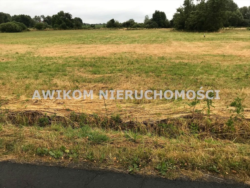 Działka budowlana na sprzedaż Baranów, Kopiska  3 100m2 Foto 1