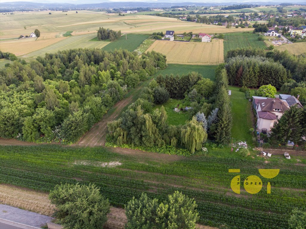 Działka budowlana na sprzedaż Brzezie  9 300m2 Foto 8