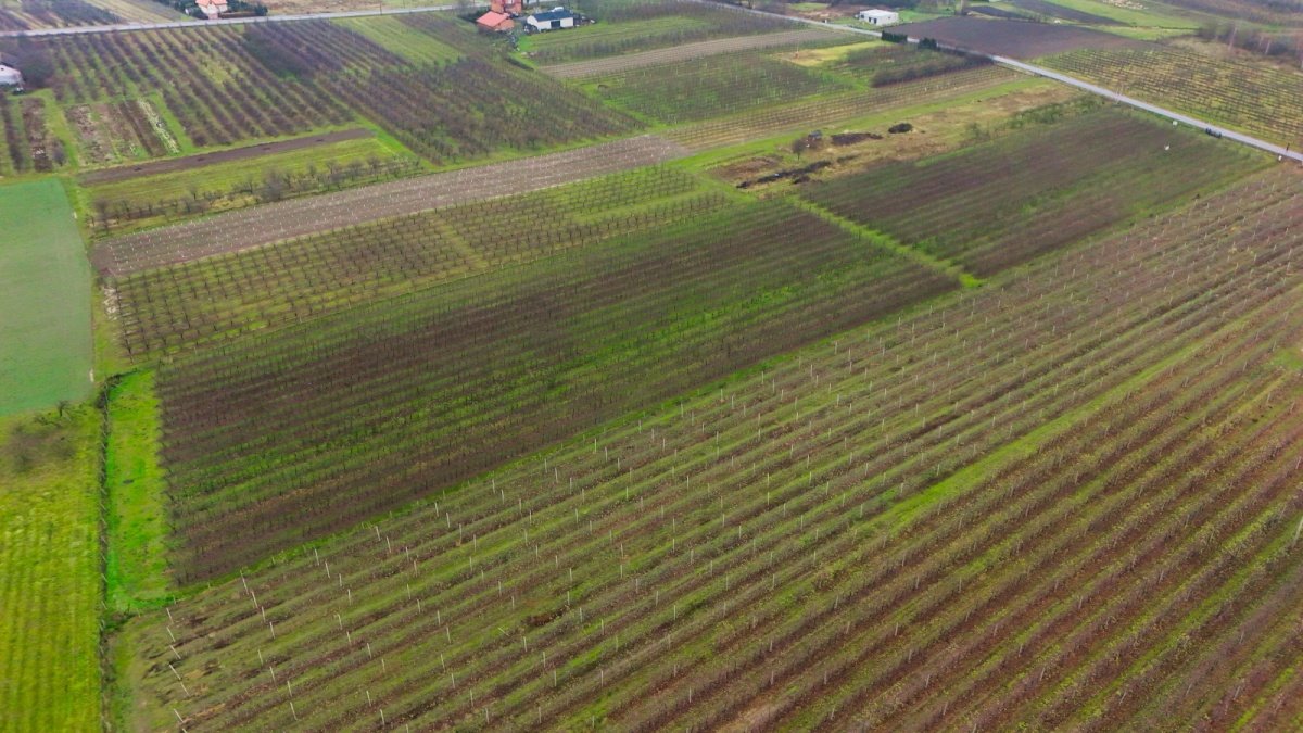 Działka budowlana na sprzedaż Warpęsy  1 200m2 Foto 6