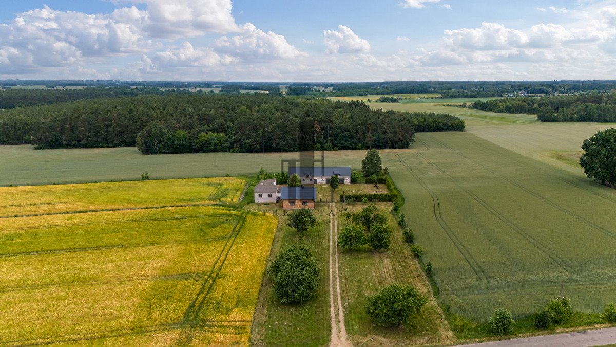 Działka siedliskowa na sprzedaż Czarnoty  130 000m2 Foto 2