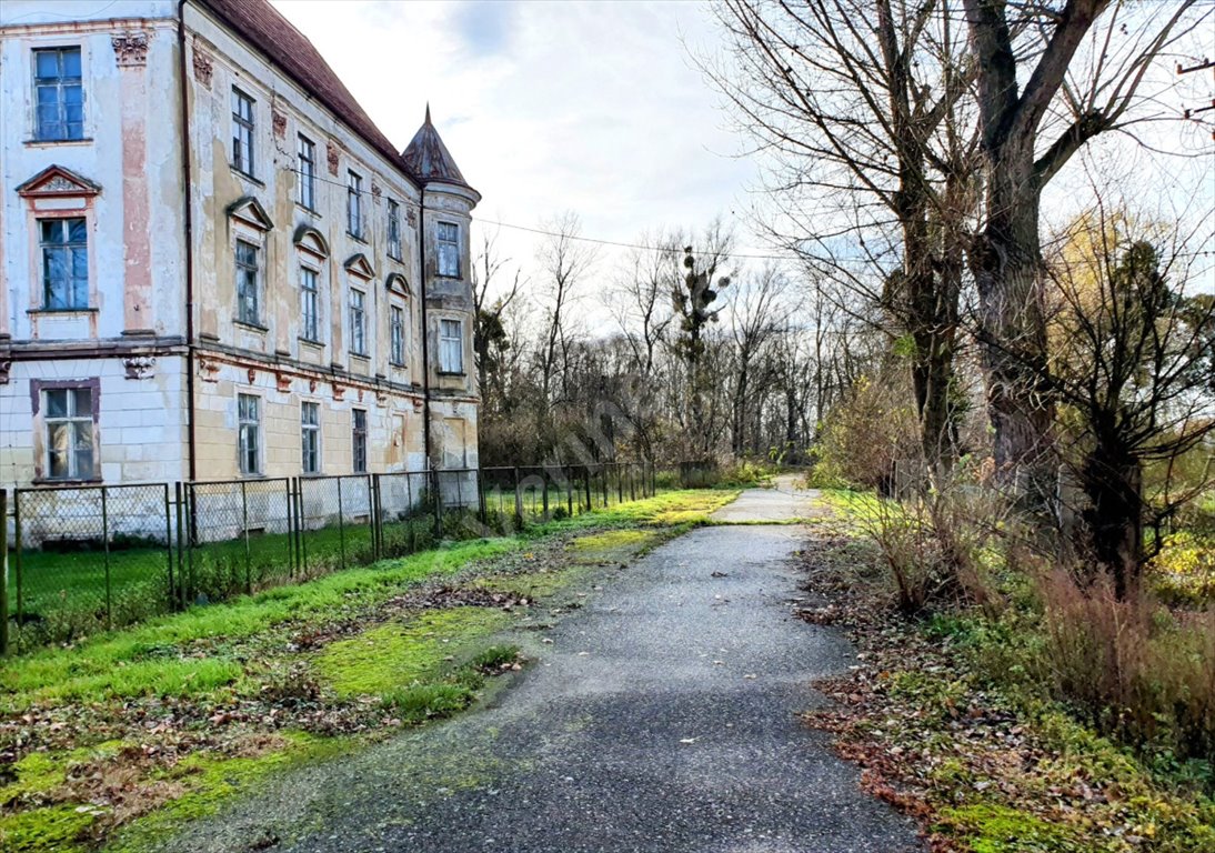 Lokal użytkowy na sprzedaż Szczepanów  3 000m2 Foto 3