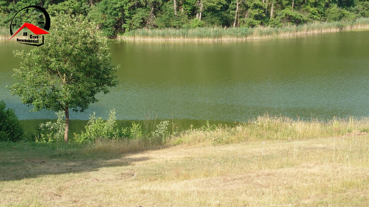 Działka budowlana na sprzedaż Psary  3 000m2 Foto 8