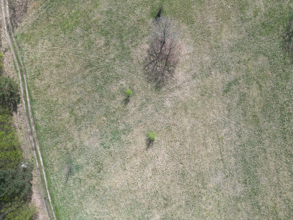 Działka budowlana na sprzedaż Stanisławów  1 000m2 Foto 8