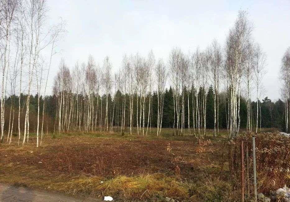 Działka budowlana na sprzedaż Ignatki, ul. Pogodna  1 184m2 Foto 3