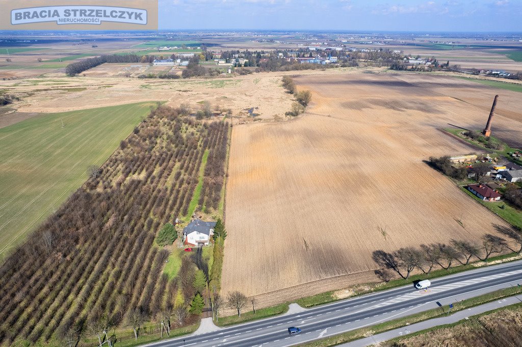 Działka inwestycyjna na sprzedaż Kopytów  20 000m2 Foto 11