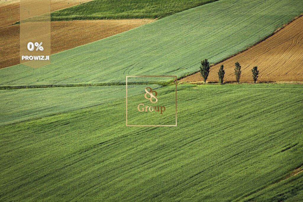 Działka budowlana na sprzedaż Ożarów Mazowiecki  5 000m2 Foto 1