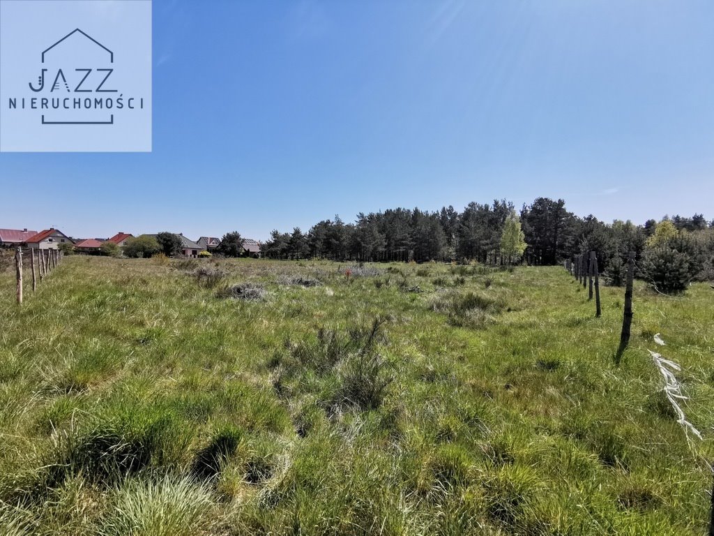 Działka 6075m2 pod dom jednorodzinny z lasem i mediami Mosty  6 075m2 Foto 1