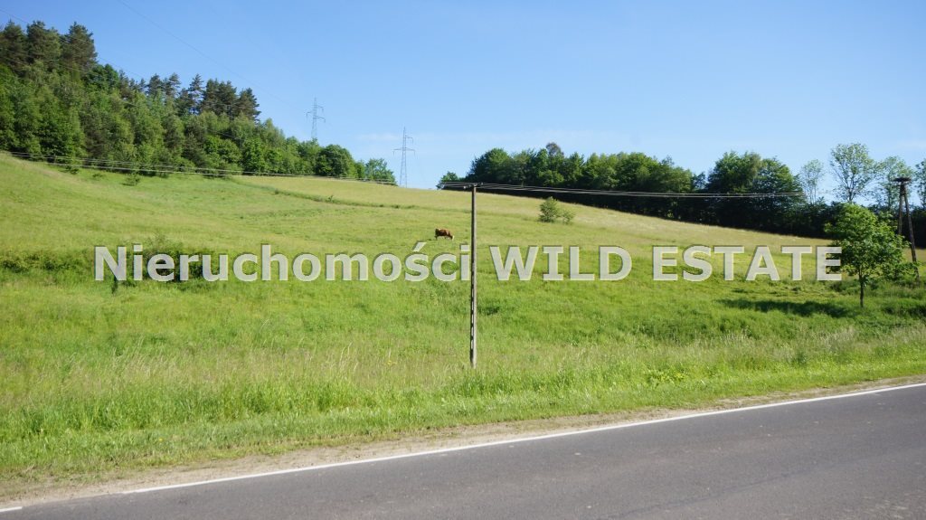 Duża działka pod zabudowę w Bóbrce koło Soliny, 1,23 ha Solina, Bóbrka  12 387m2 Foto 1