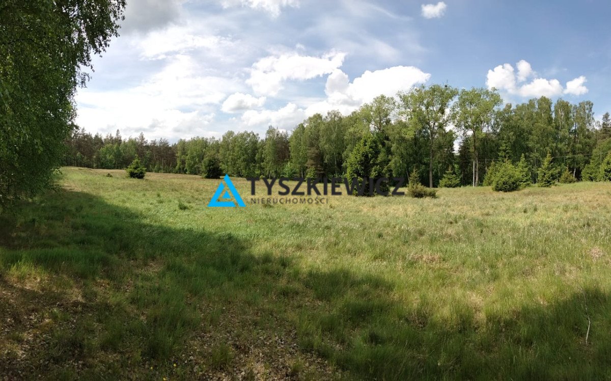 Działka przemysłowo-handlowa na sprzedaż Stara Kiszewa, Leśna  13 199m2 Foto 1