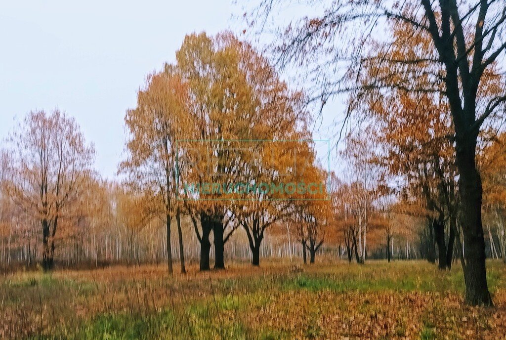 Działka budowlana na sprzedaż Milanówek  1 300m2 Foto 2