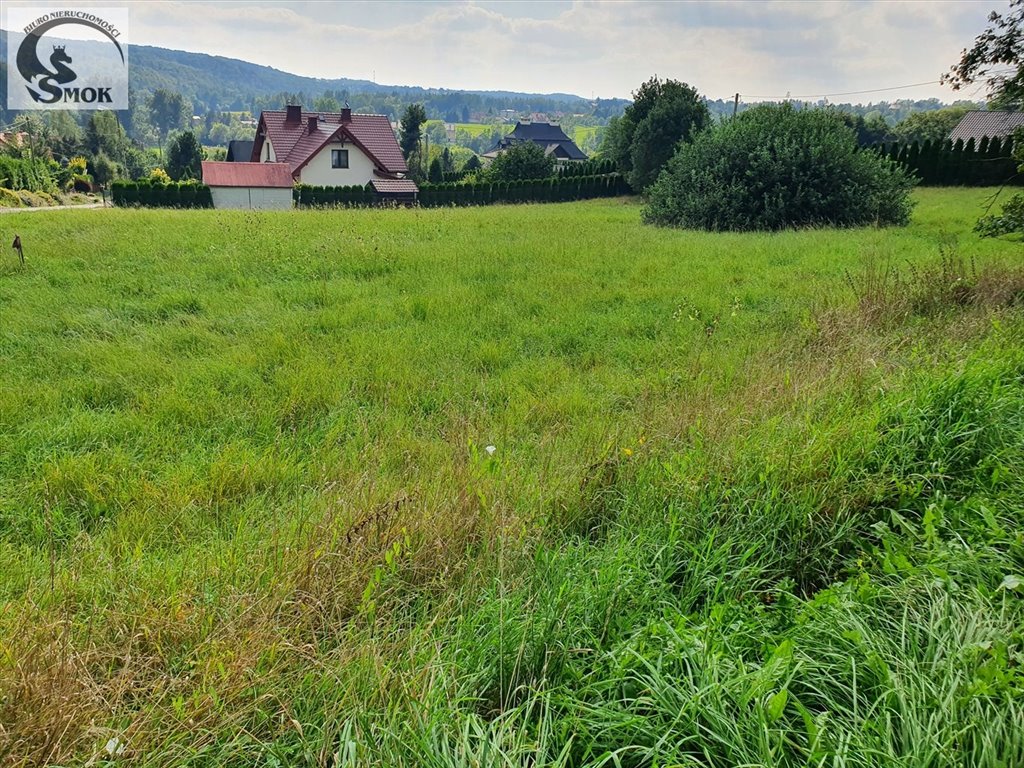 Widokowa działka 3,2 ha z mediami, do zabudowy polecam! Koźmice Małe  3 200m2 Foto 1