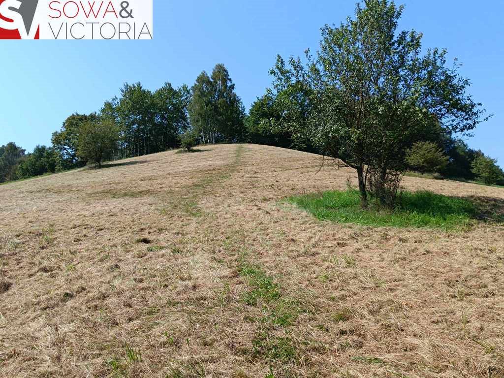 Działka budowlana na sprzedaż Zagórze Śląskie  2 700m2 Foto 9