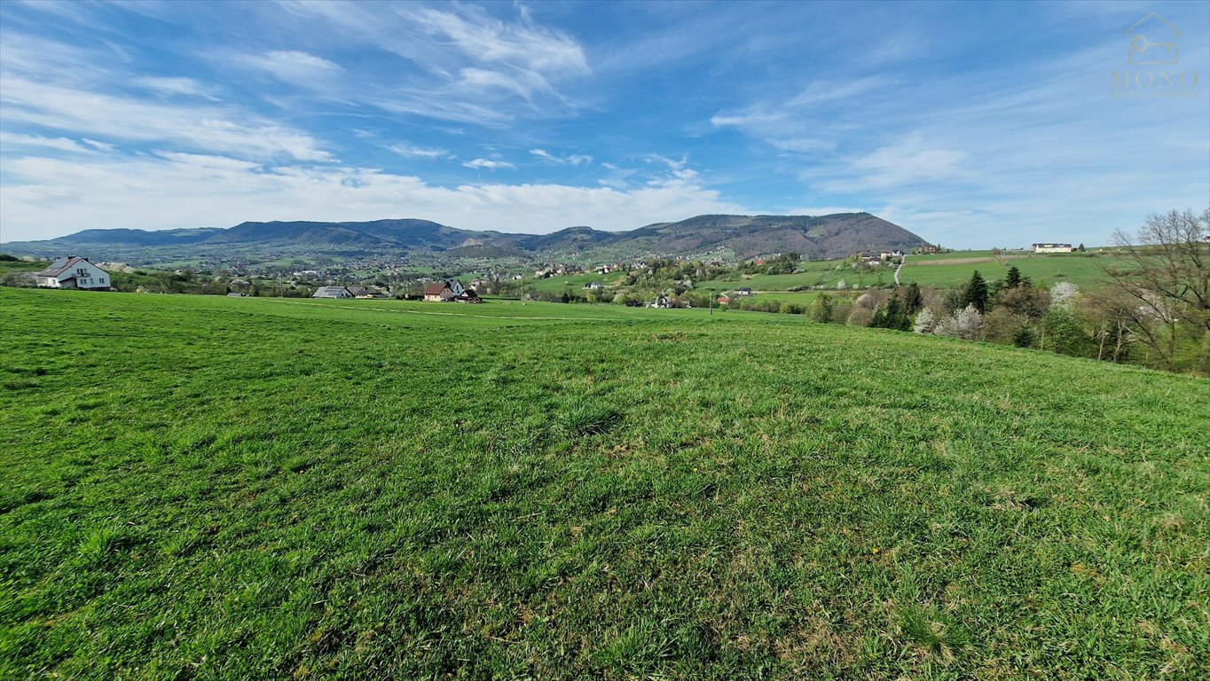 Działka rolna na sprzedaż Krasne Potockie  8 200m2 Foto 12