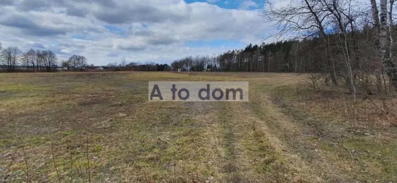 Działka przemysłowa 46 527 m² z dostępem do mediów Rasztów  46 527m2 Foto 1