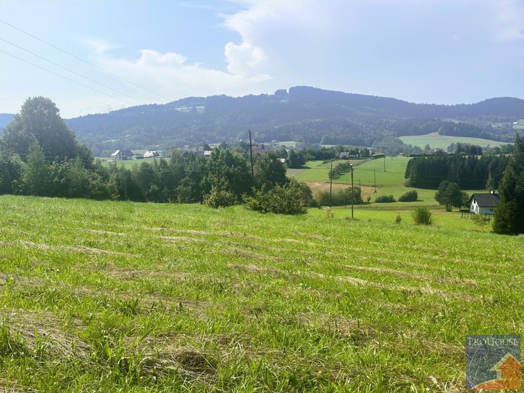 Działka budowlana na sprzedaż Rupniów  2 000m2 Foto 10