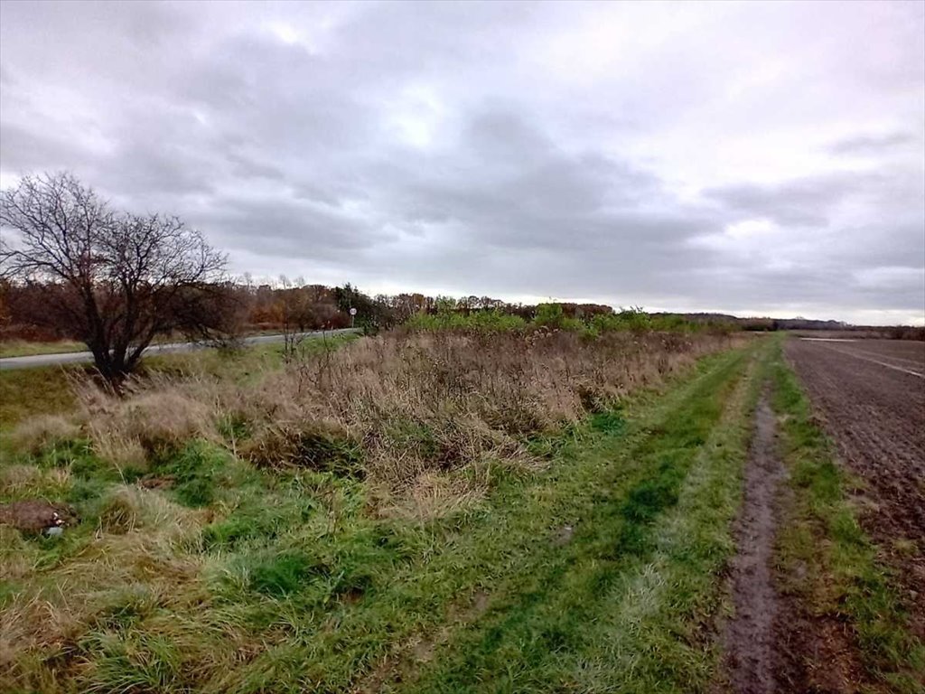 Działka budowlana na sprzedaż Wrocław, Fabryczna, Lutyńska  1 040m2 Foto 6