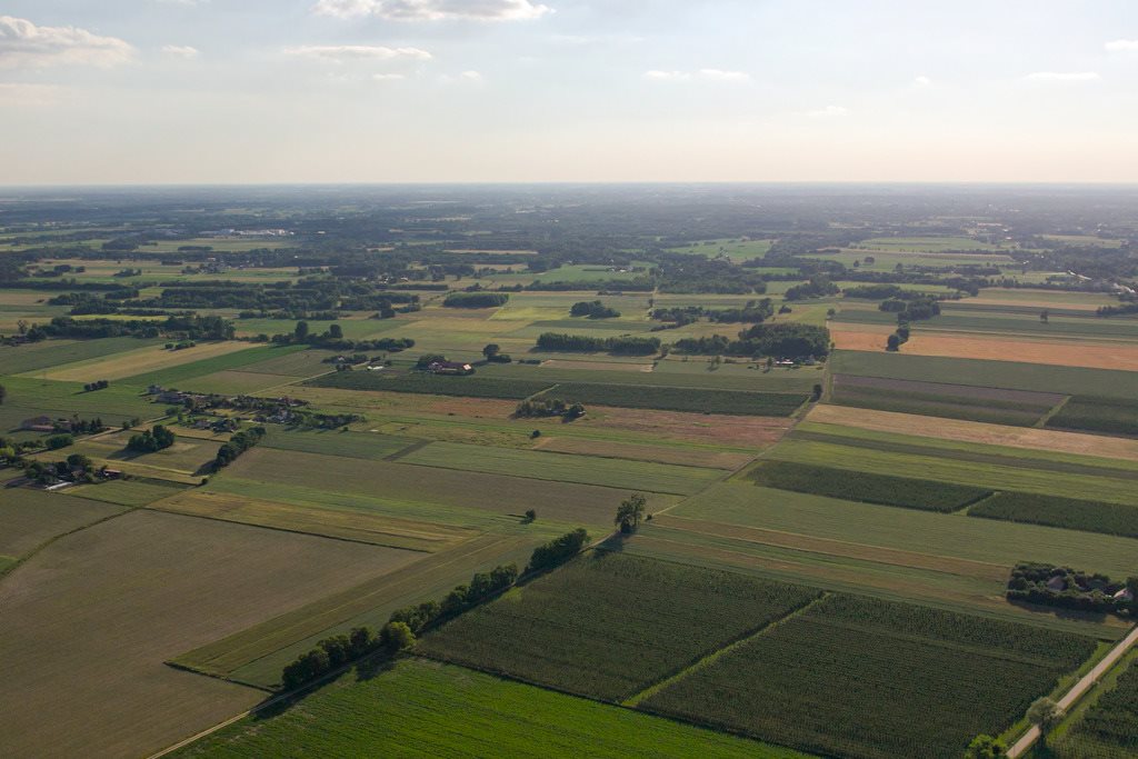 Działka budowlana na sprzedaż Nowe Paski  1 500m2 Foto 7