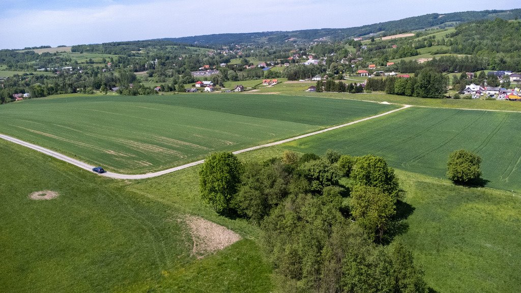 Działka budowlana na sprzedaż Nowy Borek  10 155m2 Foto 12