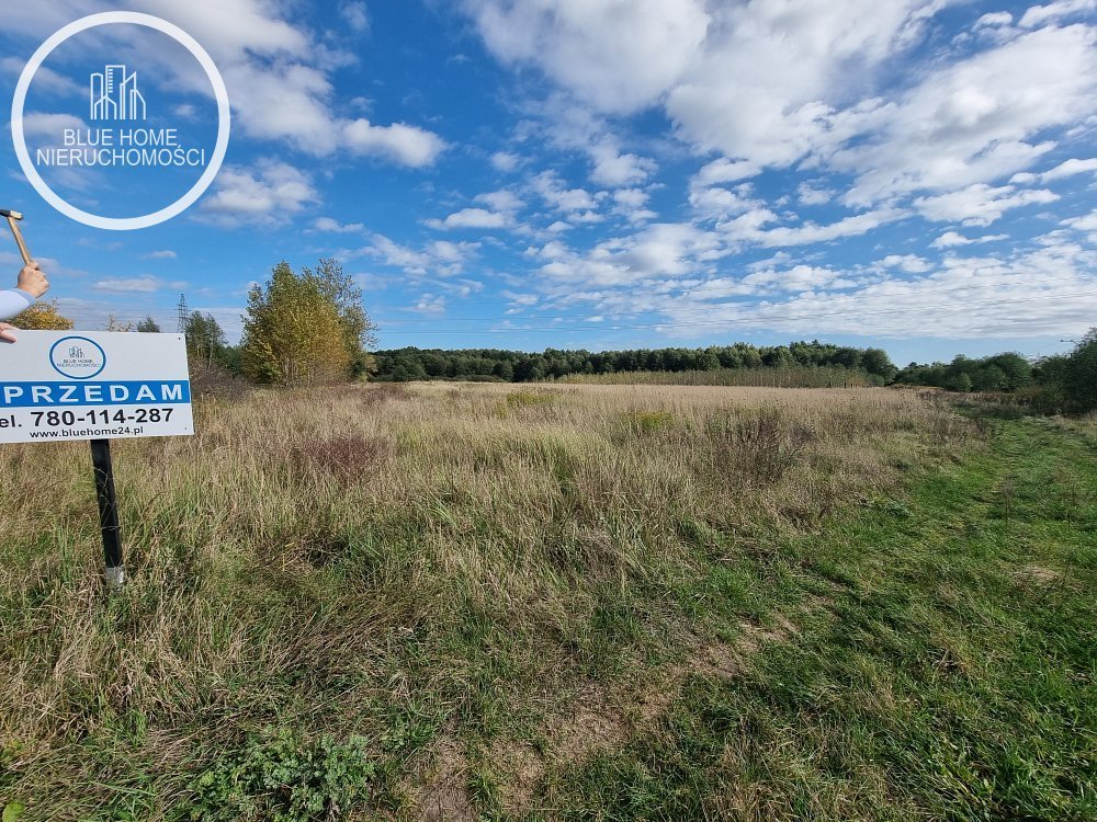 Działka rolna na sprzedaż Zalesie Krasieńskie  31 300m2 Foto 1