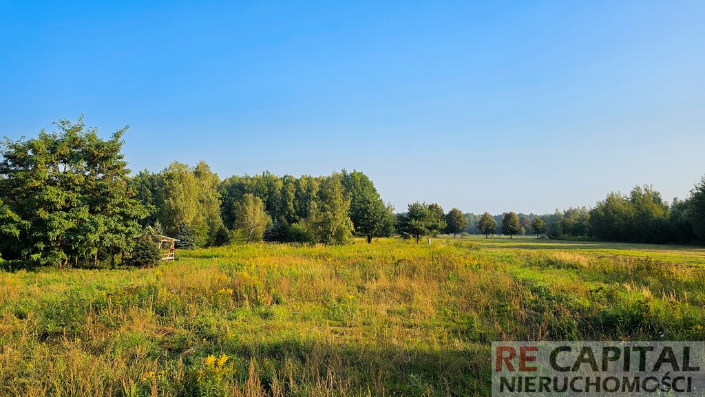 Działka budowlana na sprzedaż Borzęcin Duży  1 500m2 Foto 2