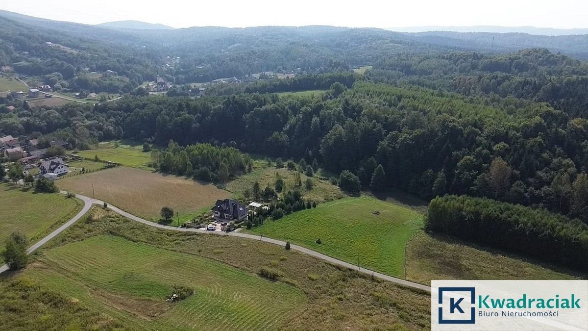 Działka budowlana na sprzedaż Kamienica Górna  5 800m2 Foto 6