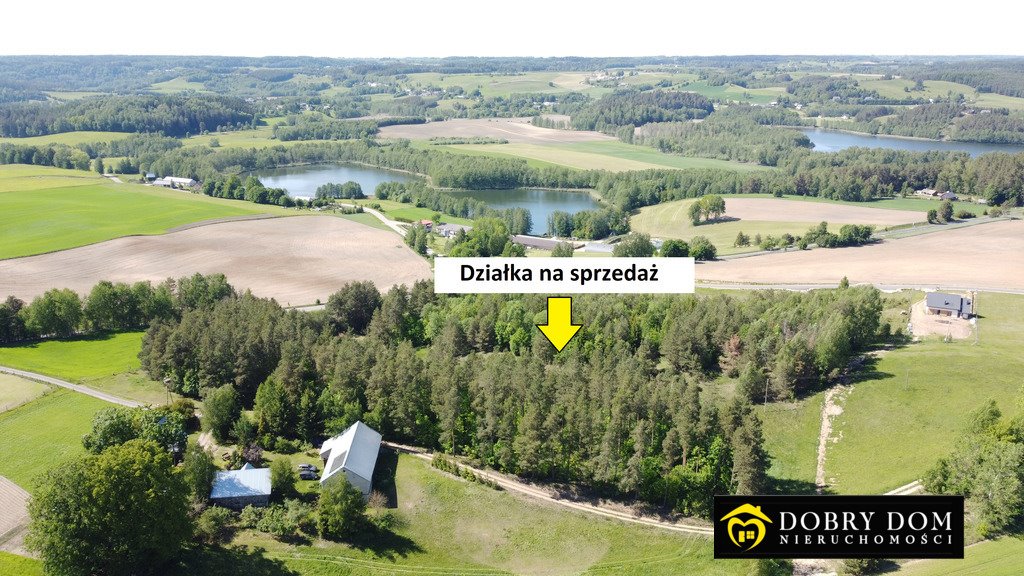 Działka leśna 17 400 m² z widokiem na jeziora i lasy Sidory  17 400m2 Foto 1