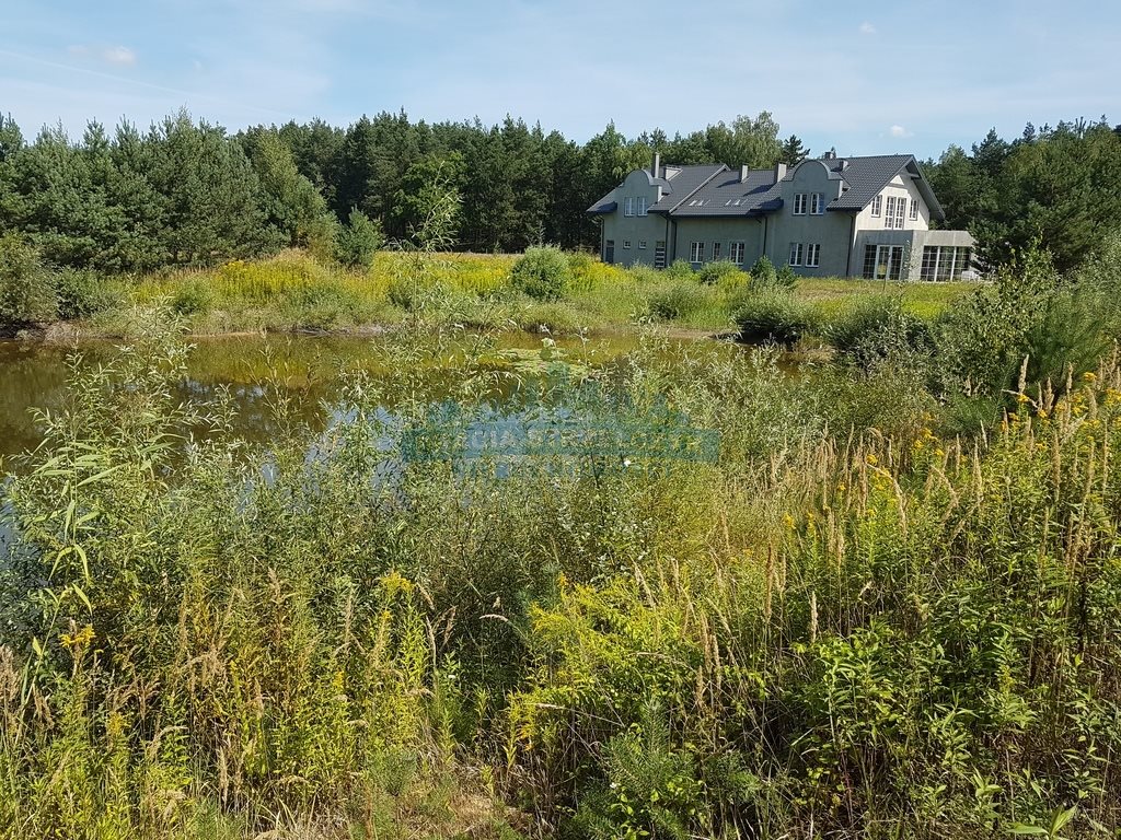 Działka budowlana na sprzedaż Sierzchów  10 000m2 Foto 14